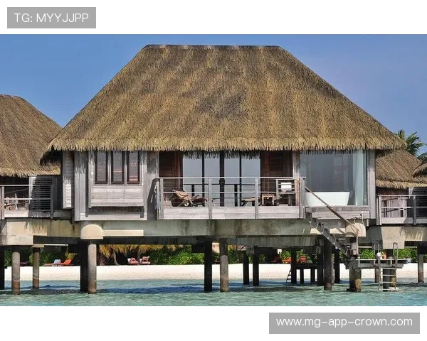 莎拉波娃退役后买下整个马尔代夫岛晒太阳？